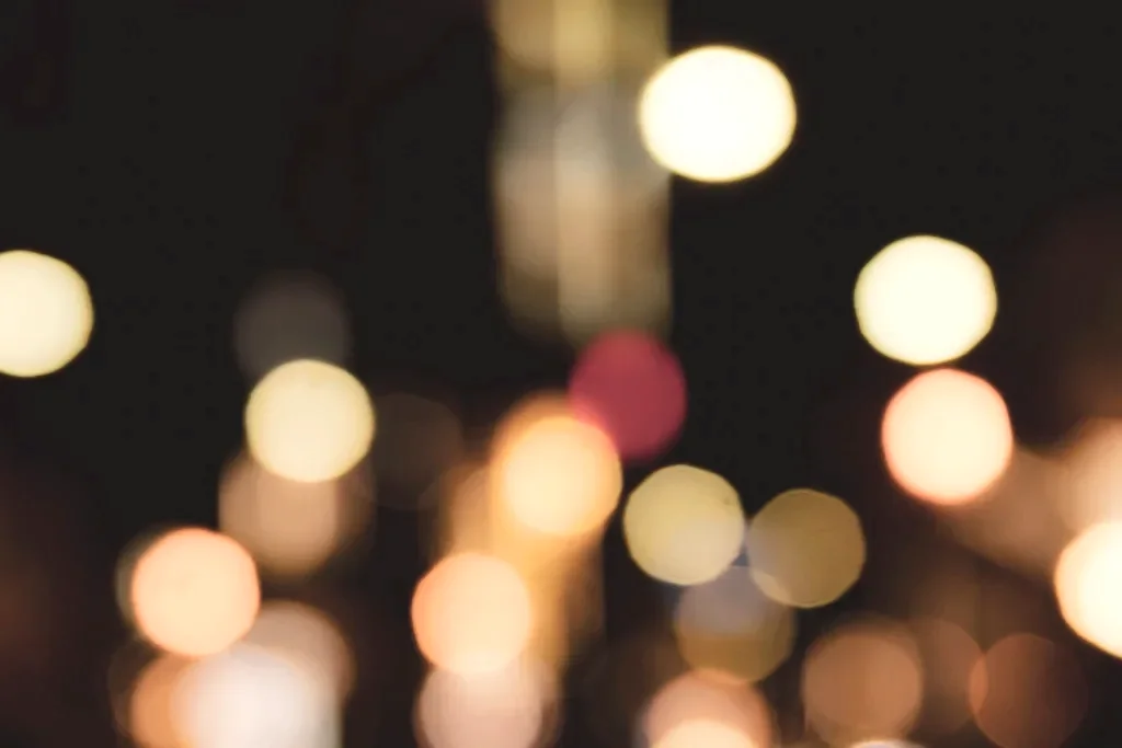 Lights over the garden